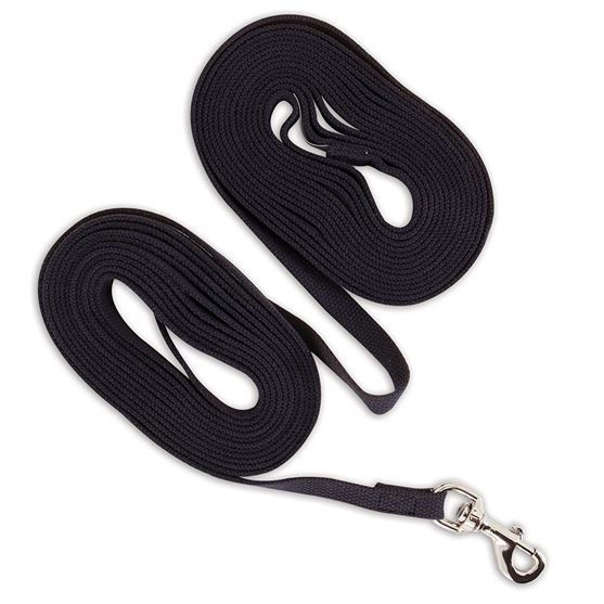 Picture of Aspen Pet Training Dog Lead 9.14m