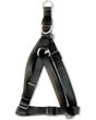 Picture of Petmate Step in Harness Medium 13-23 IN