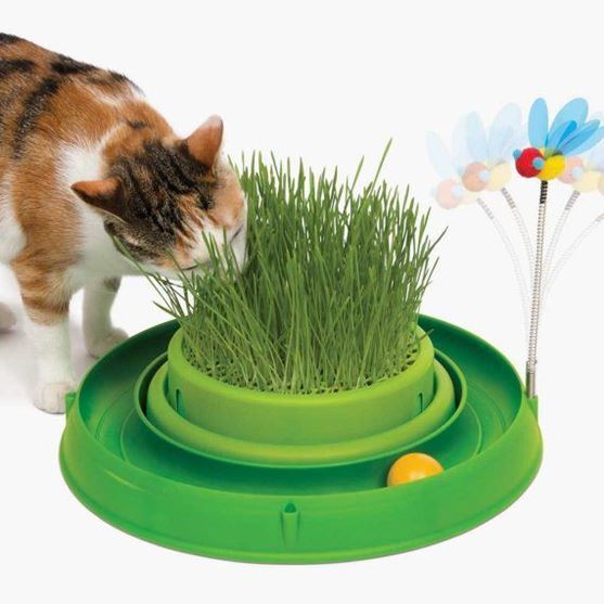 Picture of Catit Circuit Ball Toy with Grass Planter