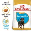 Picture of Royal Canin  Rottweiler Puppy 12KG