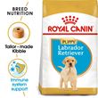 Picture of Royal Canin Labrador Puppy 12 KG