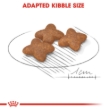 Picture of Royal Canin Mini Adult Dry Dog Food - 8kg