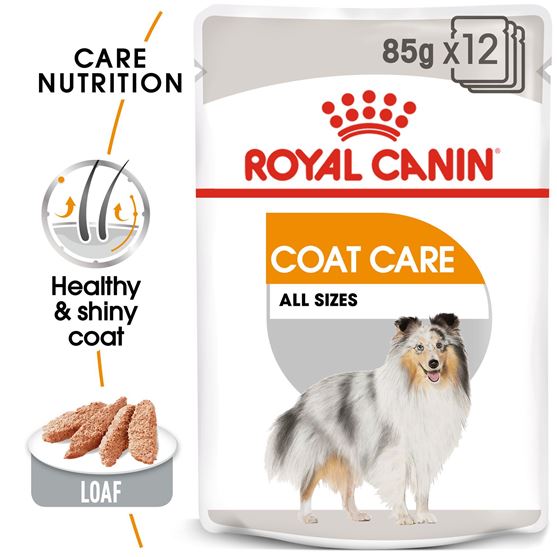 Picture of Royal Canin ® Coat Care (12/pack)