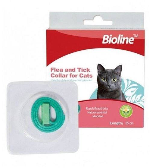 Natural flea and outlet tick collar for cats