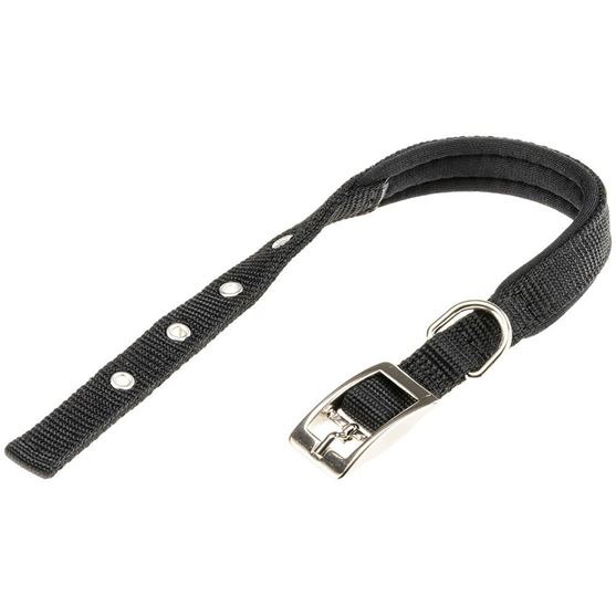 Picture of Ferplast Daytona C15/35 Nylon Dog Collar