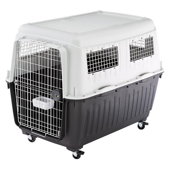 ferplast atlas 50 dog crate