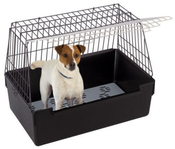 Picture of Ferplast Atlas Vision Dog Crate, Medium