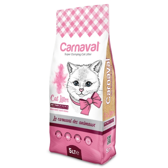 Picture of Carnaval baby powder 5ltr (3/pack) 