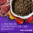 Picture of Taste of the Wild Sierra Mountain Canine with Roasted Lamb –5lbs
