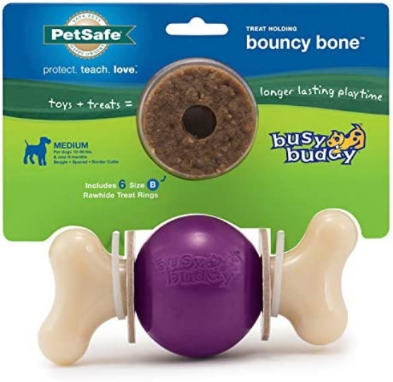 Picture of PetSafe Busy Buddy Bouncy Bone M/L