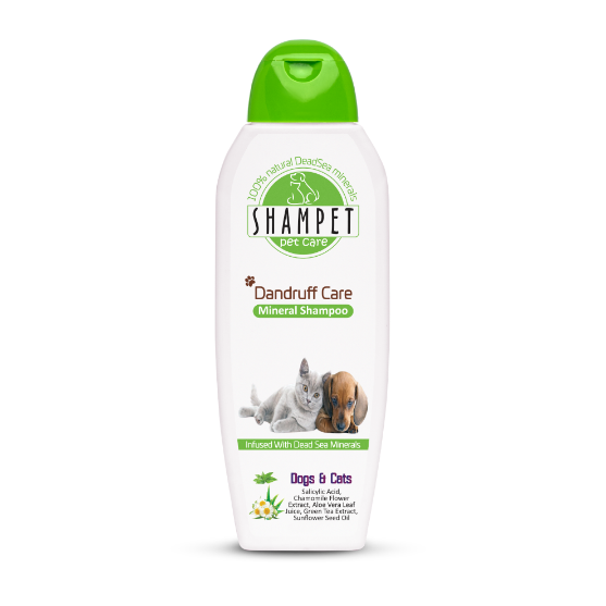 Picture of Shampet Dandruff Care 350ml