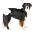 Picture of Trixie Diapers for Female Dogs Xl