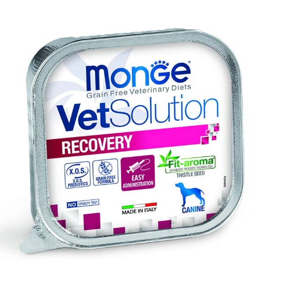 Picture of Monge VetSolution Recovery Canine 150g  