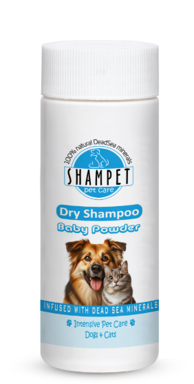 Picture of SHAMPET Pet Care Dry Shampoo Powder (Baby Powder Scent) - 100g