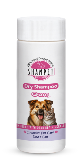 Picture of Shampet Dry Shampoo Gum 100ml  