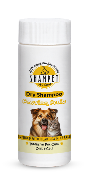 Picture of Shampet Dry Shampoo Passion Fruit 100ml   