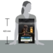Picture of Pro Plan Large Robust Puppy Chicken 3 kg