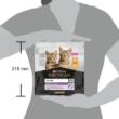 Picture of Pro Plan Kitten Healthy Start Chicken 400 g