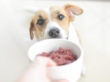 Picture of Jo Po Dog Raw Food Duck Mix  750g (1pack)