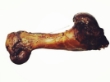 Picture of Jo Pro Dog Bone (S)(1psc)