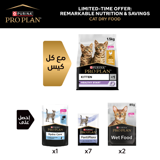 Picture of Limited-time offer :  Kitten Healthy Start Chicken 