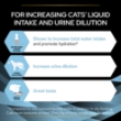 Picture of Limited-time offer :  Sterilised Senior 7+ Longevis Dry Cat Food Turkey x2