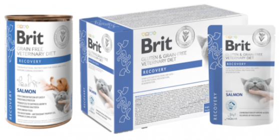 Picture of Brit Veterinary Cat Pouch fillets in Gravy Recovery 85g (12pack)
