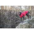 Picture of Trixie Vimy Raincoat for Dogs 62cm Red