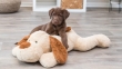 Picture of Triexi Benny cuddle dog, plush, 75 cm