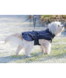 Picture of Trixie Winter blanket Brizon, L: 62 cm, black