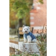 Picture of Trixie Ajou coat, S: 40 cm, blue