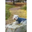 Picture of Trixie Ajou coat, S: 40 cm, blue