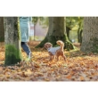 Picture of Trixie Ajou coat, S: 40 cm, blue