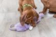Picture of Trixie Junior Dangling Plush Dog