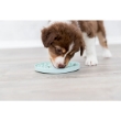Picture of Junior Licking Plate