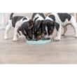 Picture of Junior Licking Plate