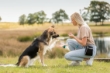 Picture of RIXIE Premium Dog Duck Softies 100 g