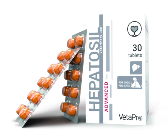 Picture of Hepatosil