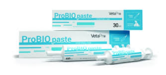 Picture of Probio paste dog & cat