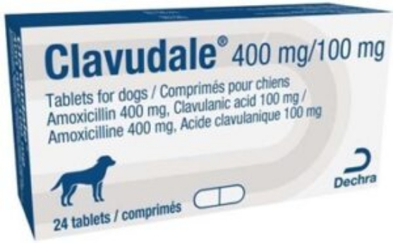 Picture of Clavudale 400mg/100 mg 