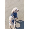 Picture of Trixie BE NORDIC Raincoat Husum   Dog Raincoat M 50cm