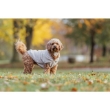Picture of Trixie Carson hoodie  S