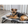 Picture of Trixie Dog lounger, 99 × 19 × 60 cm, beige/black