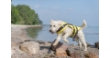 Picture of Trixie Life vest, XL: 65 cm, yellow/black