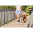 Picture of Trixie Premium active harness, M: 49–69 cm/20 mm, rust