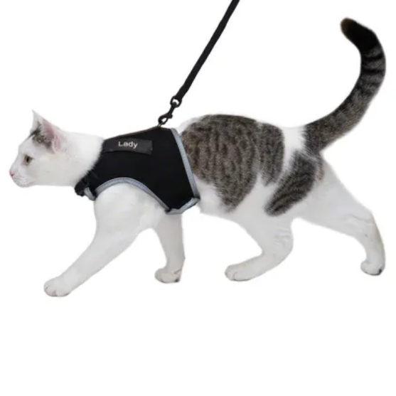 Picture of Trixie cat Soft Harness with Lead  XXL