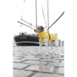 Picture of Trixie Vimy rain coat, L: 55 cm, yellow