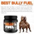 Picture of EKTEK Bully's Best Bully Fuel Powder 500gm