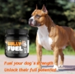 Picture of EKTEK Bully's Best Bully Fuel Powder 500gm