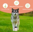Picture of Salmon Oil for Dogs and Cats with Omega 3 & 6 I 500 ml